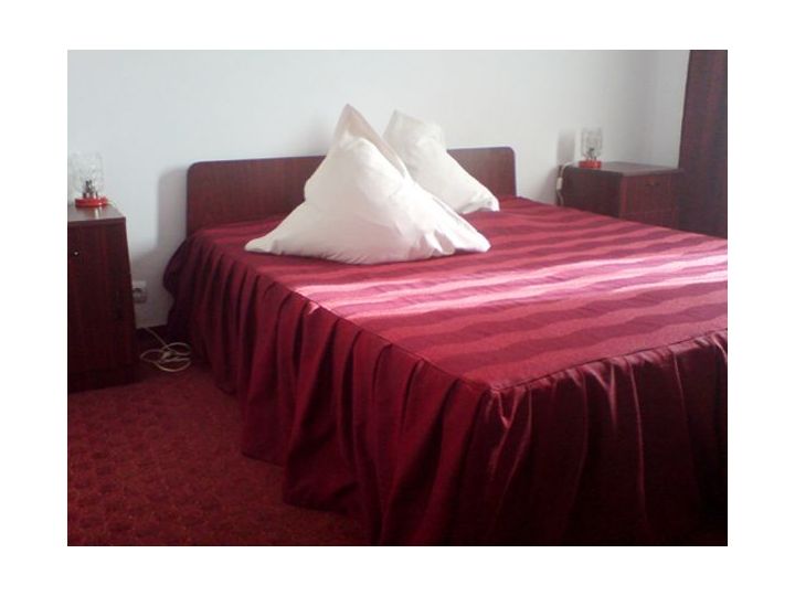 Hotel Vrancea, Focsani - imaginea 
