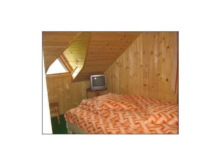 Pensiunea Vrancea Tour Antistress, Paltin - imaginea 