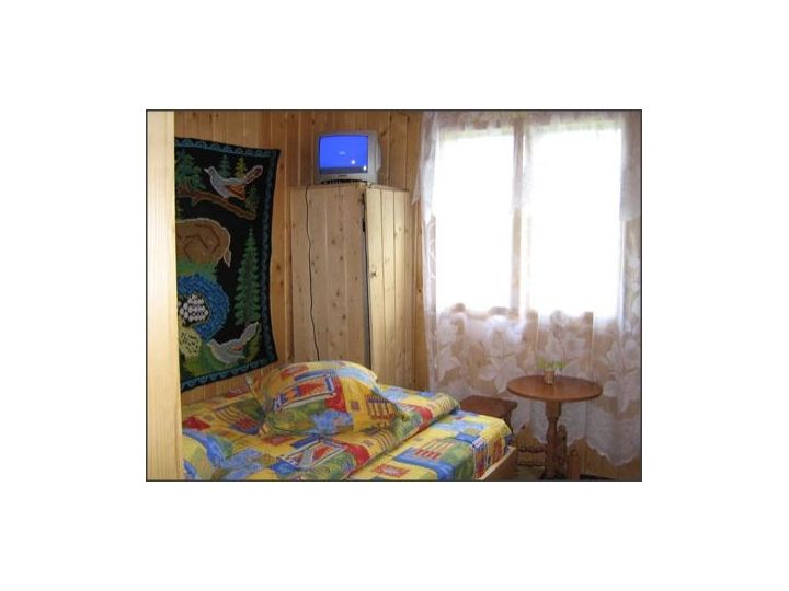 Pensiunea Vrancea Tour Antistress, Paltin - imaginea 