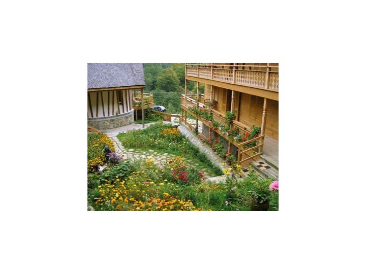Pensiunea Casa Tisaru, Lepsa - imaginea 