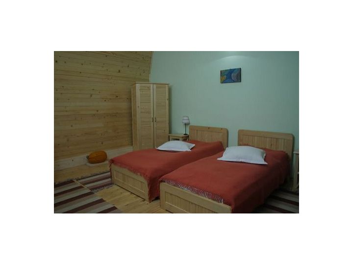 Pensiunea Casa Tisaru, Lepsa - imaginea 