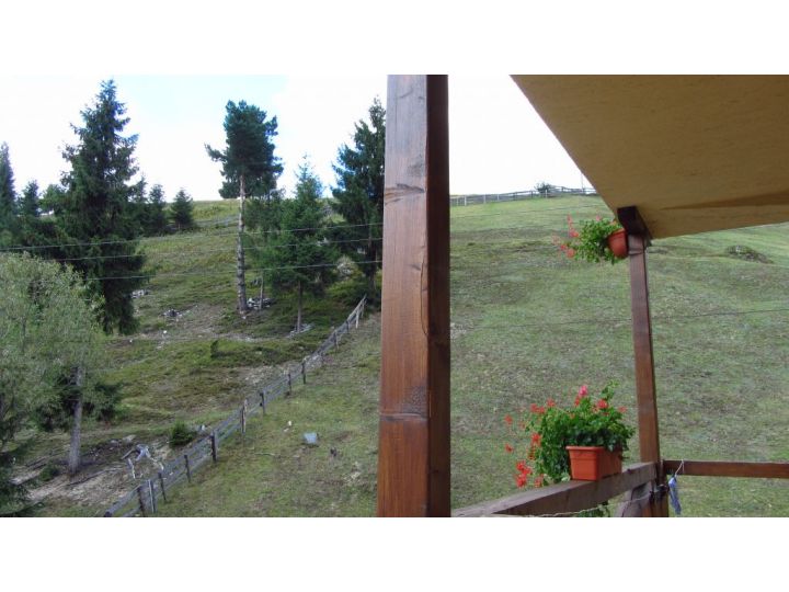 Vila Sara Vank, Arieseni - imaginea 