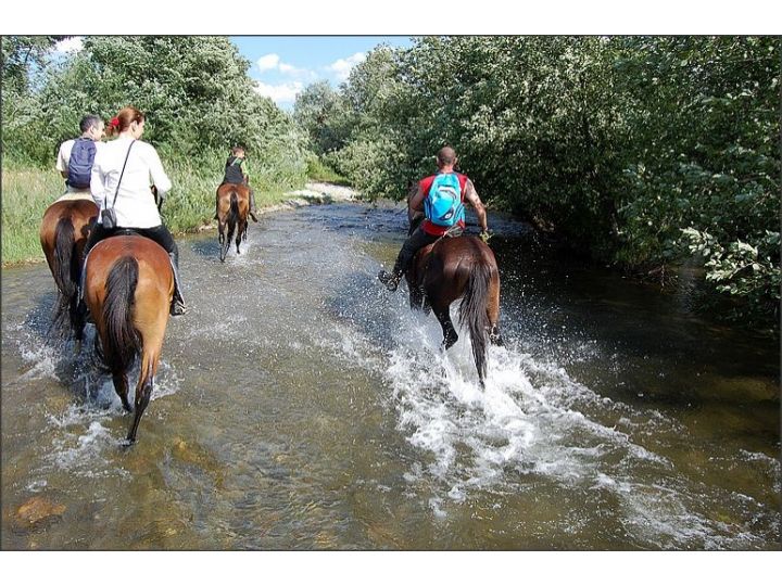 Pensiunea Ferma Brandusa, Avrig - imaginea 