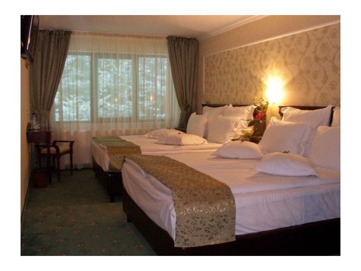 Hotel Fantanita Haiducului, Sibiu - imaginea 