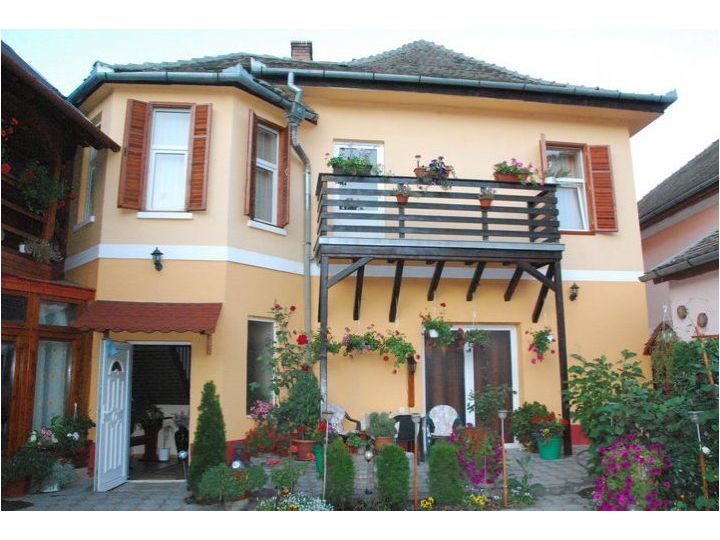Pensiunea Liana, Sibiu - imaginea 