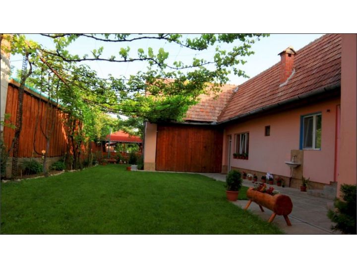 Pensiunea Casa Iliut, Rasinari - imaginea 
