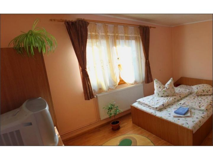 Pensiunea Casa Iliut, Rasinari - imaginea 