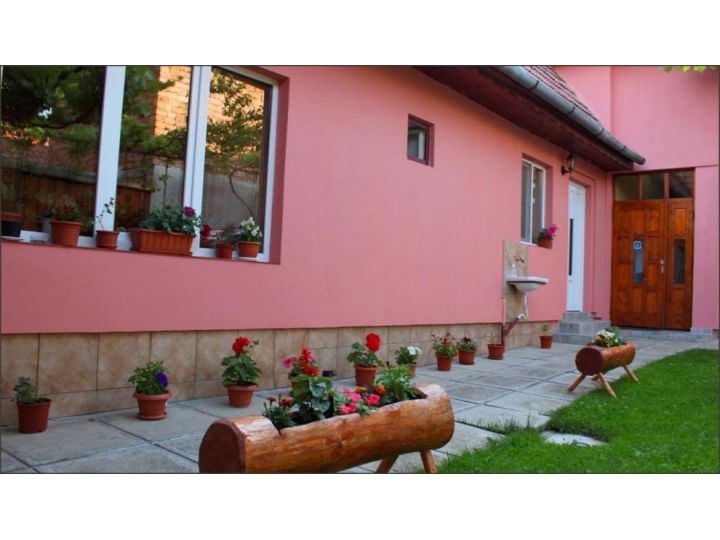 Pensiunea Casa Iliut, Rasinari - imaginea 