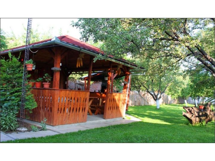 Pensiunea Casa Iliut, Rasinari - imaginea 