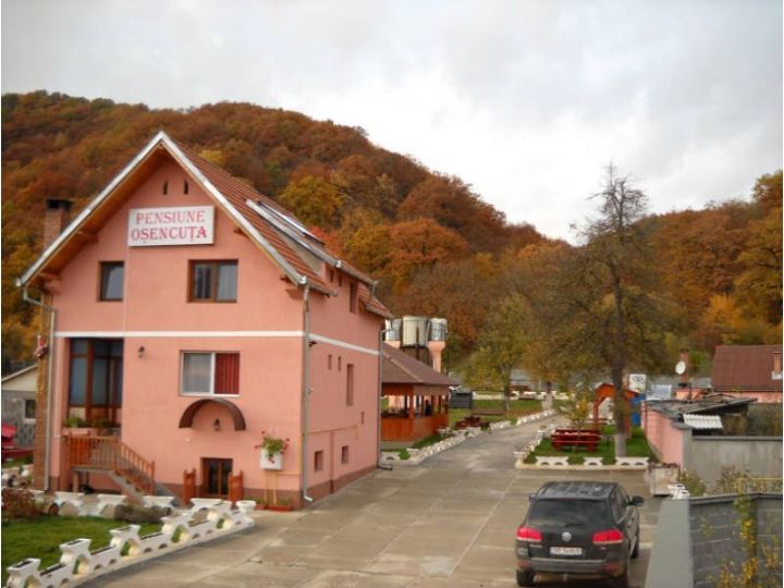 Pensiunea Restaurant Osencuta, Talmaciu - imaginea 