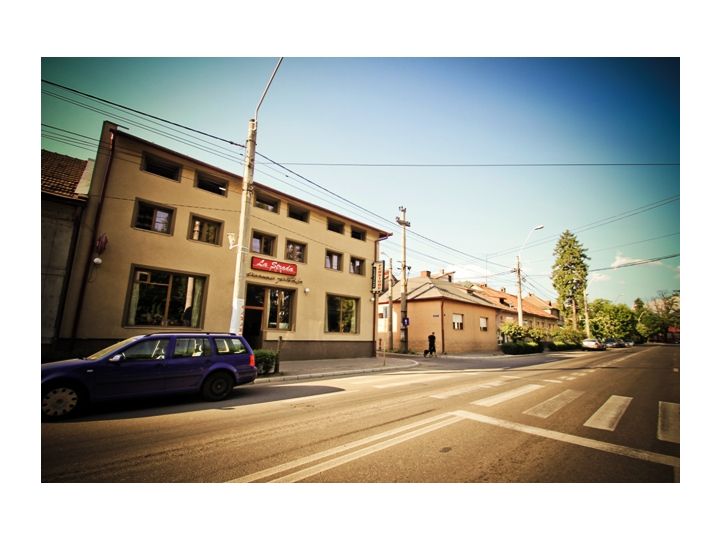 Pensiunea Pictorilor, Baia Mare - imaginea