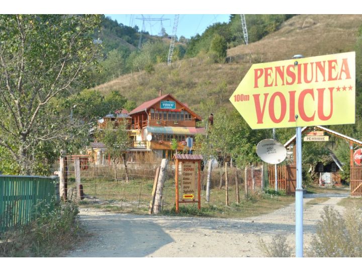 Pensiunea Voicu, Lotrioara - imaginea 