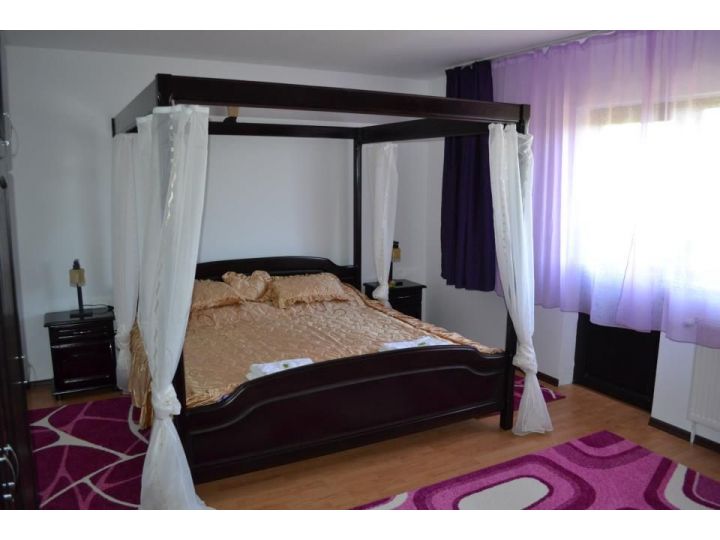 Pensiunea Templars Inn, Harseni - imaginea 