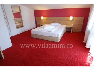 Vila Amira, Predeal - 5