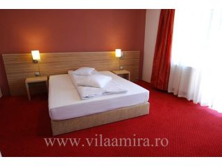 Vila Amira, Predeal - 3