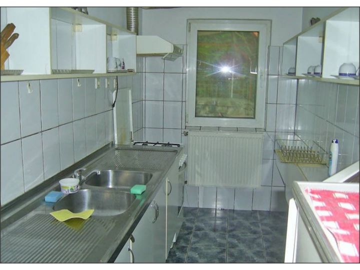 Vila Steluta, Calimanesti-Caciulata - imaginea
