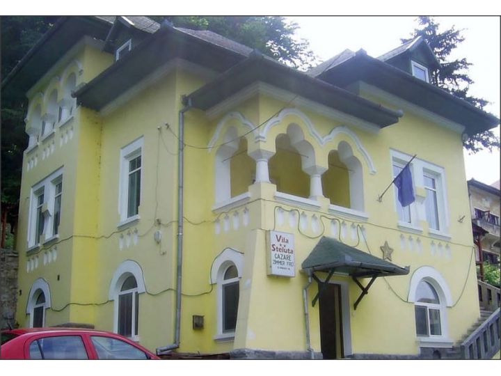 Vila Steluta, Calimanesti-Caciulata - imaginea