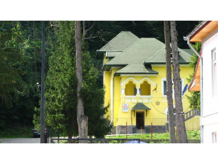 Vila Steluta, Calimanesti-Caciulata - imaginea