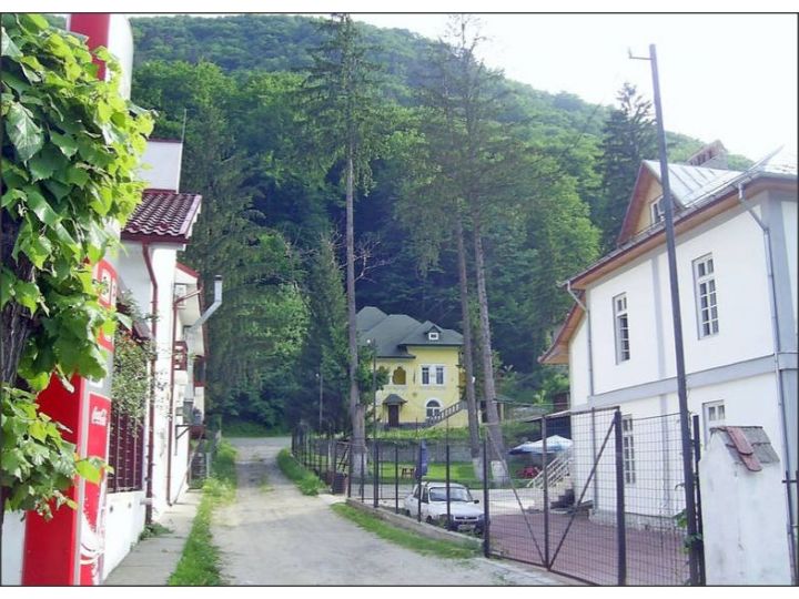 Vila Steluta, Calimanesti-Caciulata - imaginea