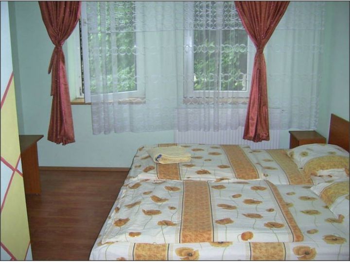 Vila Steluta, Calimanesti-Caciulata - imaginea