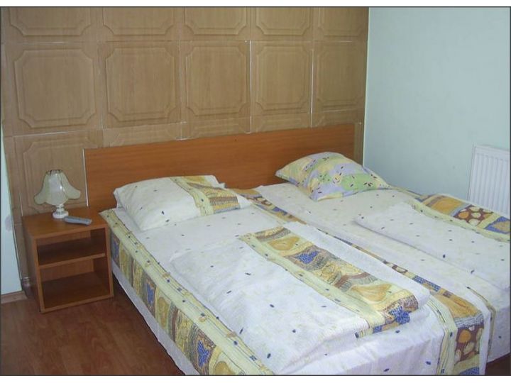 Vila Steluta, Calimanesti-Caciulata - imaginea