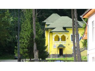 Vila Steluta, Calimanesti-Caciulata - 1