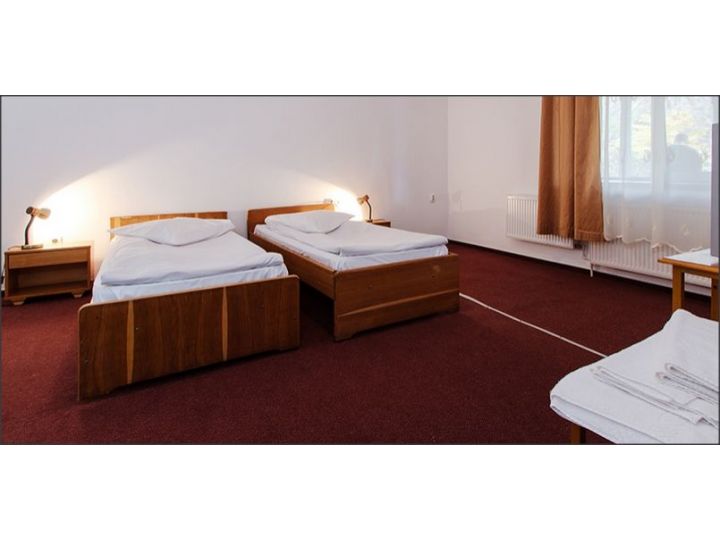 Vila Furnica, Calimanesti-Caciulata - imaginea
