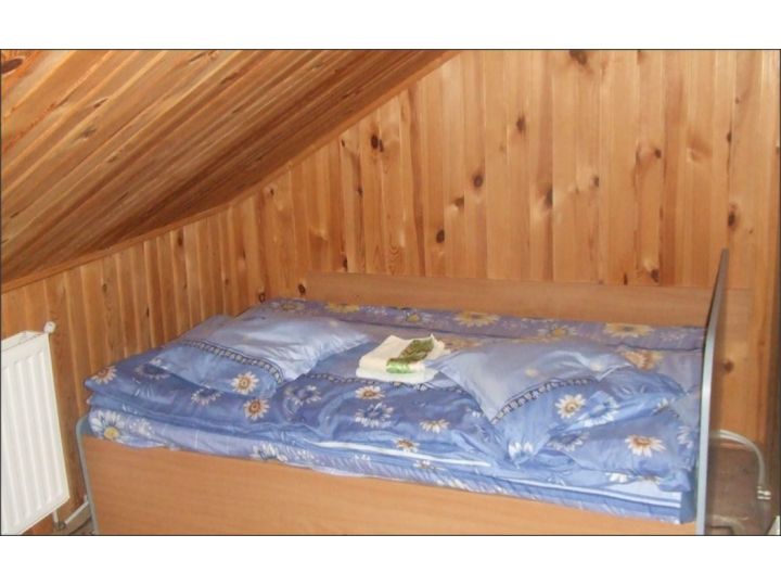 Cabana Sophia, Slanic Moldova - imaginea 