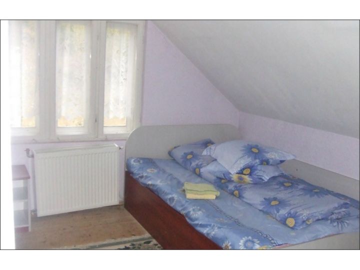 Cabana Sophia, Slanic Moldova - imaginea 