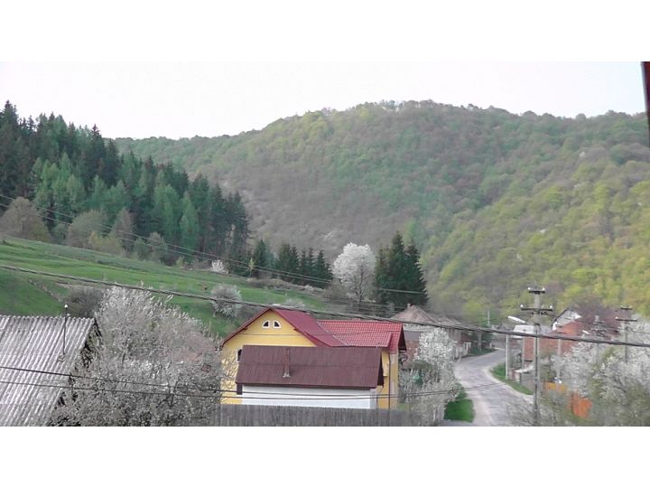 Pensiunea Stefanut, Margau - imaginea 