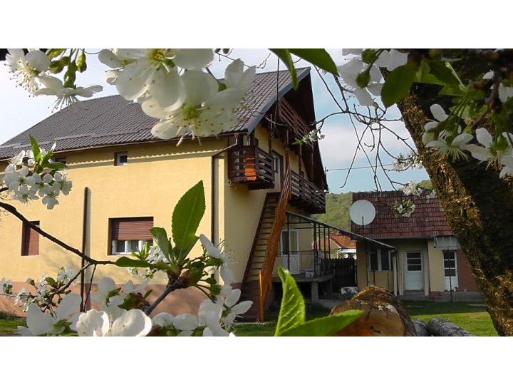 Pensiunea Stefanut, Margau - imaginea 
