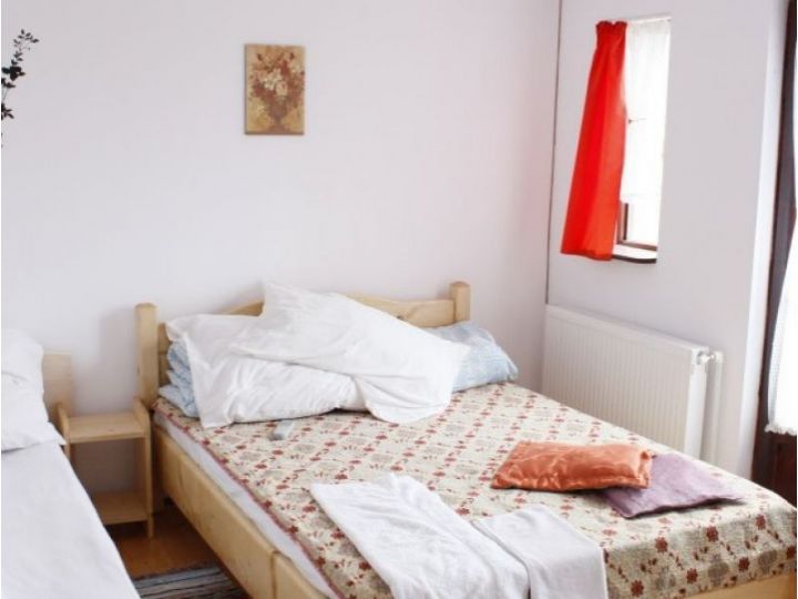 Pensiunea Casa Bobo, Baia de Fier - imaginea 