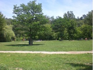 Complex turistic La Balta Aiud, Aiud - 2