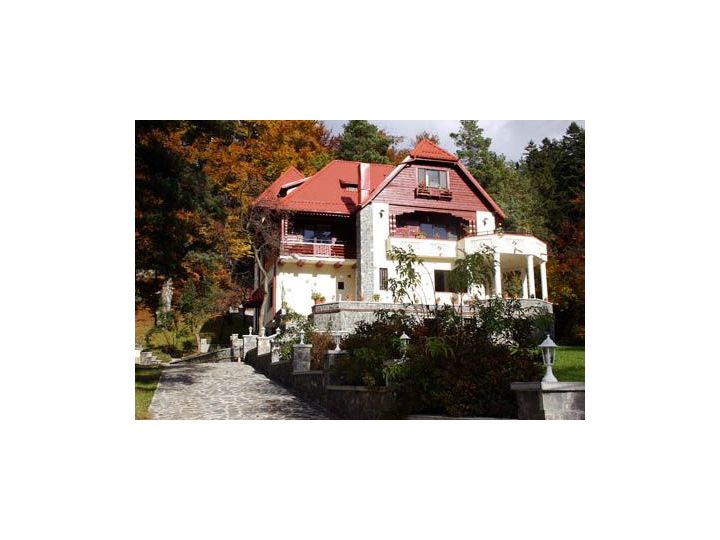 Pensiunea Boema, Sinaia - imaginea 