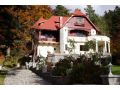 Pensiunea Boema, Sinaia - thumb 1
