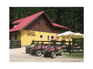 Vila Trifoiul, Azuga - 4