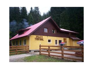 Vila Trifoiul, Azuga - 1