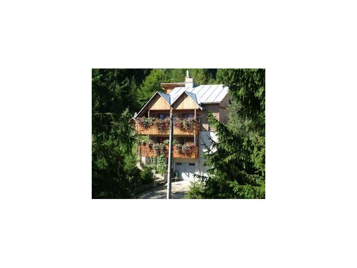 Vila Doina, Voronet - imaginea 