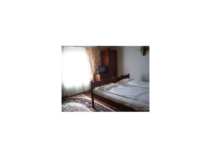 Pensiunea Casa Georgiana, Vama - imaginea 