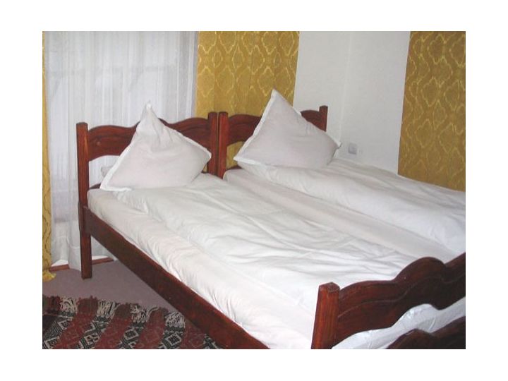 Pensiunea Casa Georgiana, Vama - imaginea 