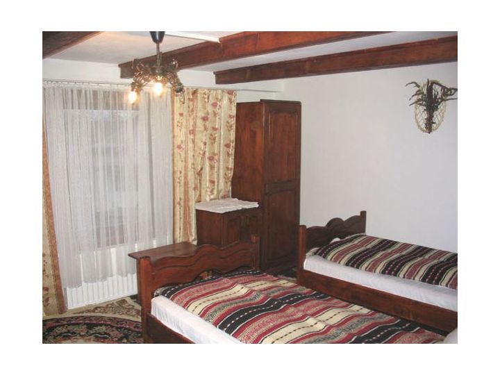Pensiunea Casa Georgiana, Vama - imaginea 
