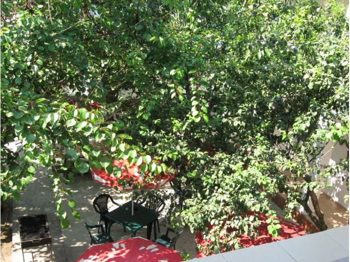 Camere de inchiriat Casa Pinciuc, Costinesti - imaginea
