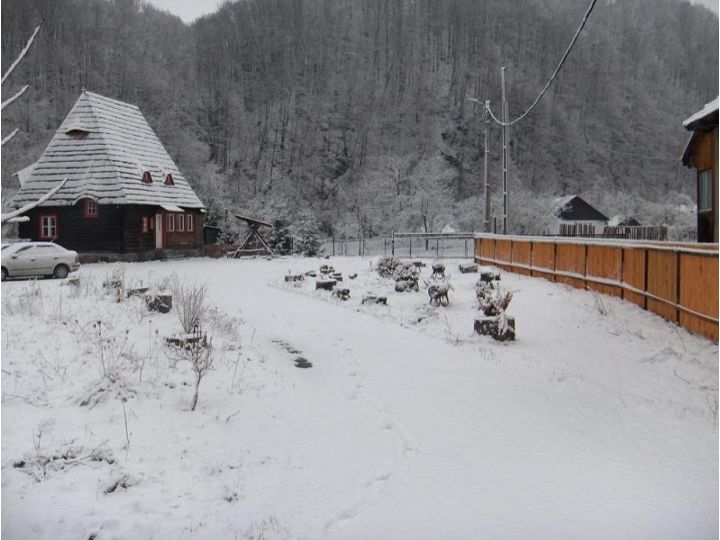 Pensiunea Iubu, Valea Draganului - imaginea 