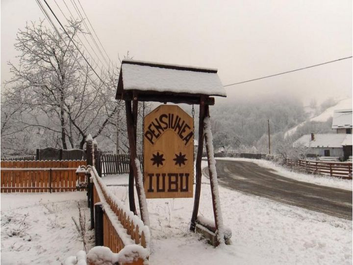 Pensiunea Iubu, Valea Draganului - imaginea 