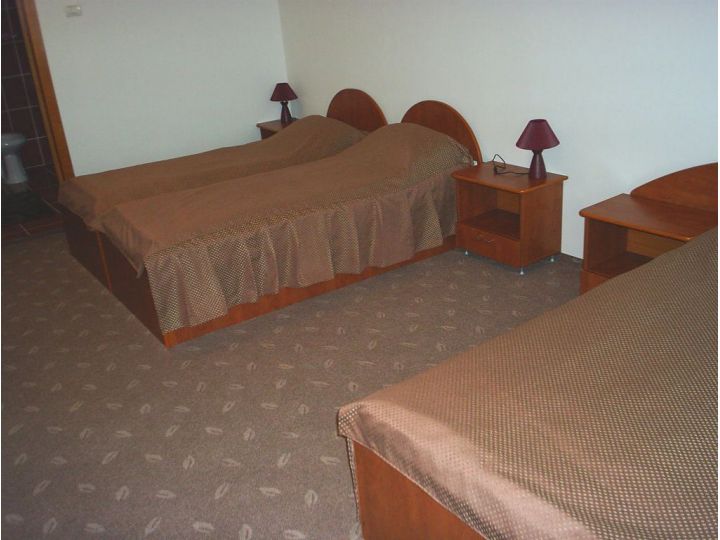 Hotel Lotus, Arad oras - imaginea 