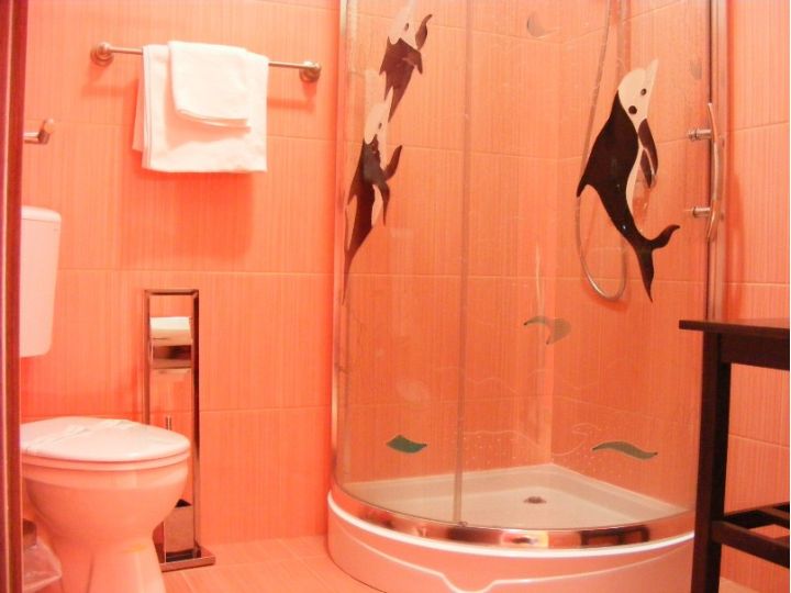 Hotel President, Cugir - imaginea 