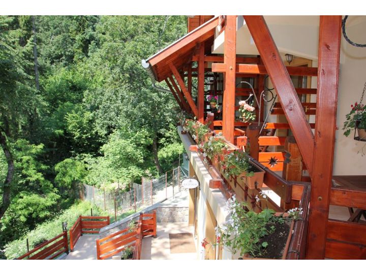 Hotel Szeifert, Sovata - imaginea 