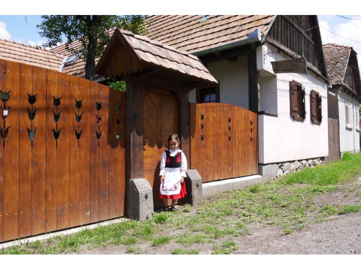 Pensiunea Zsuzsanna, Praid - imaginea 