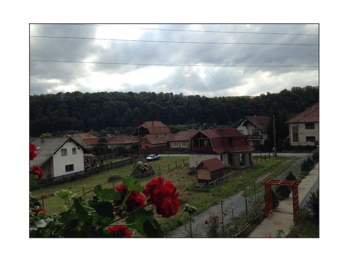 Pensiunea Casa Roza, Sovata - imaginea 