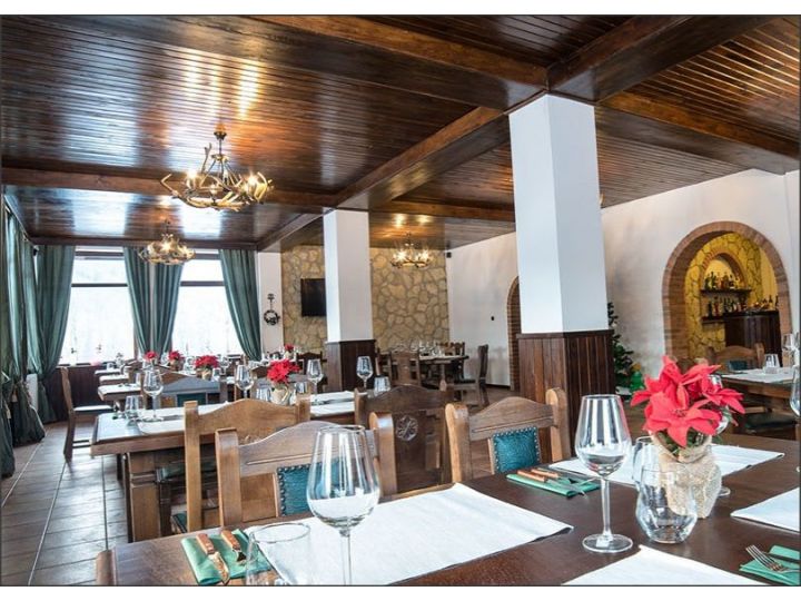 Pensiunea Bran Chalet, Bran - imaginea 